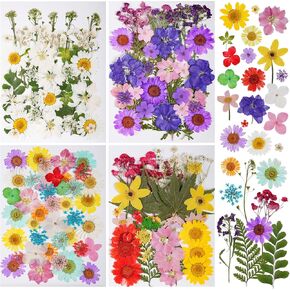 145pcs Natural Pressed Dried Flowers Mixed Multi-Color Pressed Flower Mini Rose Hydrangea Daisy for Art Craft DIY Resin Nail Art Floral Decors (Red, Purple & Blue)
