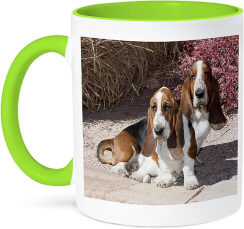 3dRose Two Purebred Bassett Hound Dogs Near Red Bush Mug, 11 oz in Saudi Arabia