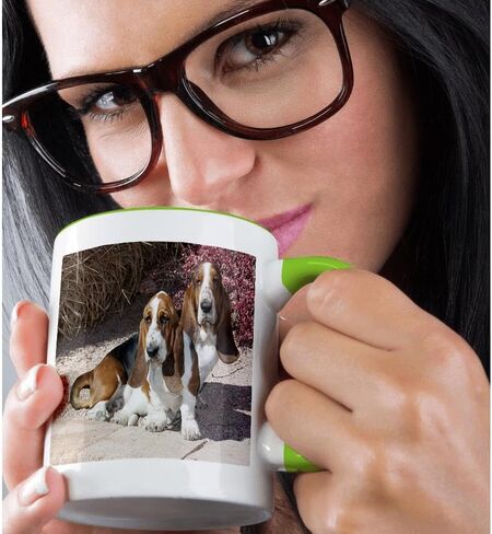 3dRose Two Purebred Bassett Hound Dogs Near Red Bush Mug, 11 oz in Saudi Arabia