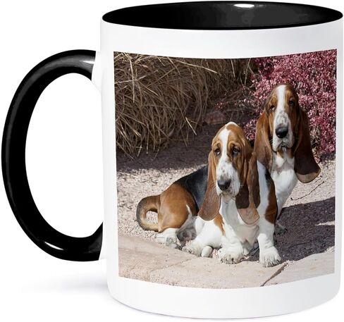 3dRose Two Purebred Bassett Hound Dogs Near Red Bush Mug, 11 oz in Saudi Arabia