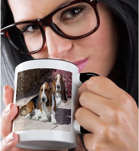 3dRose Two Purebred Bassett Hound Dogs Near Red Bush Mug, 11 oz in Saudi Arabia