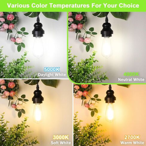 4-Pack Vintage LED Edison Bulbs 60W Equivalent, 850LM 6W Edison Light Bulb Daylight White 5000K, ST58 LED Filament Bulb E26 Base, Non-Dimmable in Saudi Arabia