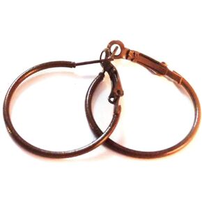 Color Hoop Earrings Simple Thin Hoop Earrings 1.5 Inch Brown Hoop Earrings