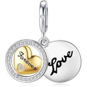 JIAYIQI Mother Sister Daughter Wife Charms Fit Pandora Charms Bracelet with Double Heart Love Charms 925 Sterling Silver Beads for Women Gift