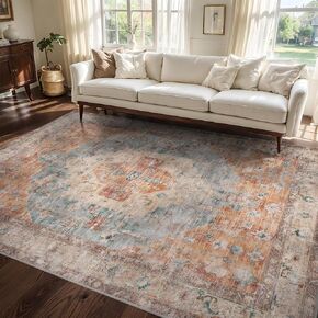 Area Rug Living Room Rugs 5x7 Moroccan Farmhouse Vintage Non-Slip Modern Carpet for Bedroom Dining Room Home Office, Non-Shedding Machine Washable Kid Pets Friendly