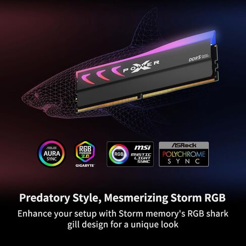 Silicon Power Storm DDR5 64GB (2x32GB) RGB 6400MT/s (PC5-51200) 288-pin CL32 1.4V UDIMM ذاكرة الوصول العشوائي المكتبية ذاكرة الكمبيوتر مع مبدد حراري أسود SP064GXLWU64AFDK in Kuwait