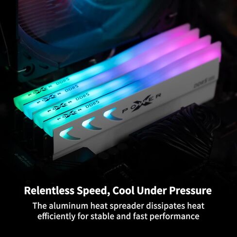 Silicon Power Storm DDR5 64GB (2x32GB) RGB 6400MT/s (PC5-51200) 288-pin CL32 1.4V UDIMM ذاكرة الوصول العشوائي المكتبية ذاكرة الكمبيوتر مع مبدد حراري أسود SP064GXLWU64AFDK in Kuwait