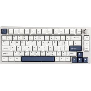 EPOMAKER P75 Wireless Aluminum Mechanical Keyboard, Bluetooth 5.0/2.4GHz/USB-C Hot Swappable Custom Keyboard, Gasket Structure Creamy Keyboard for PC/Tablet/PS/Xbox (Silver, Zebra Switch)
