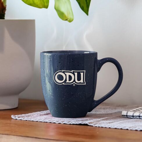 Rico Industries NCAA unisex-adult Ceramic Mug in Saudi Arabia