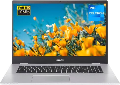 ASUS 17.3" FHD Chromebook, Intel Celeron N4500, 4GB RAM, 64GB eMMC, Webcam, Micro SD Card Reader, Wi-Fi 6, Chrome OS, Silver in Saudi Arabia