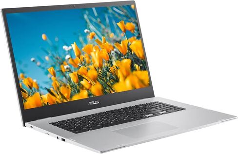 ASUS 17.3" FHD Chromebook, Intel Celeron N4500, 4GB RAM, 64GB eMMC, Webcam, Micro SD Card Reader, Wi-Fi 6, Chrome OS, Silver in Saudi Arabia