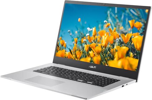 ASUS 17.3" FHD Chromebook, Intel Celeron N4500, 4GB RAM, 64GB eMMC, Webcam, Micro SD Card Reader, Wi-Fi 6, Chrome OS, Silver in Saudi Arabia