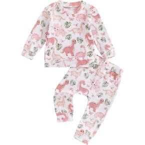 Toddler Baby Girl Fall Winter Clothes Dinosaur/Butterfly/Chicken Print Long Sleeve Crewneck Sweatshirt Pants Set