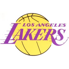 Rico Industries NBA unisex-adult Licensed Product