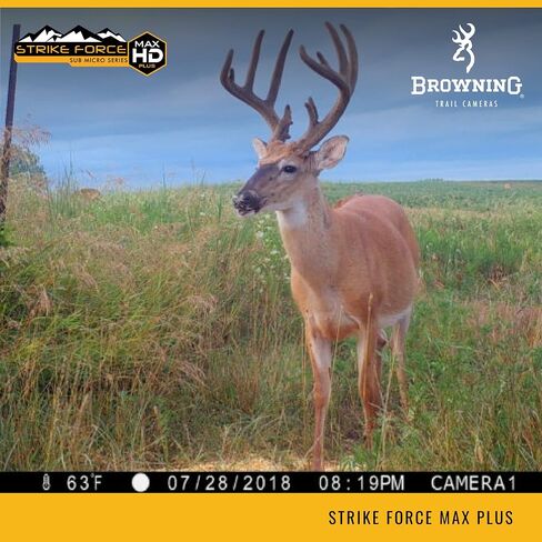 Browning Trail Cameras Strike Force HD Max Plus 20MP Camera with 32 GB SD Card and SD Card Reader in Saudi Arabia