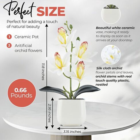 زهور الأوركيد الاصطناعية مع مزهرية سيراميك بيضاء - نباتات صناعية صغيرة مقاس 11.8 بوصة في الداخل، Orquideas Artificiales para Decoracion، أوركيد حريري لديكور المنزل والمكتب والحمام (وردي) in Kuwait