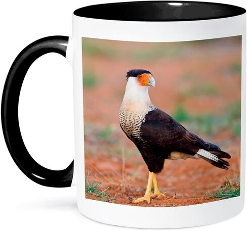 3dRose Tooth of Time Philmont Scout Ranch Cimarron New Mexico Two Tone Mug, 11 oz, Red in Saudi Arabia