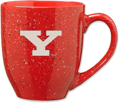 Rico Industries NCAA unisex-adult Ceramic Mug in Saudi Arabia
