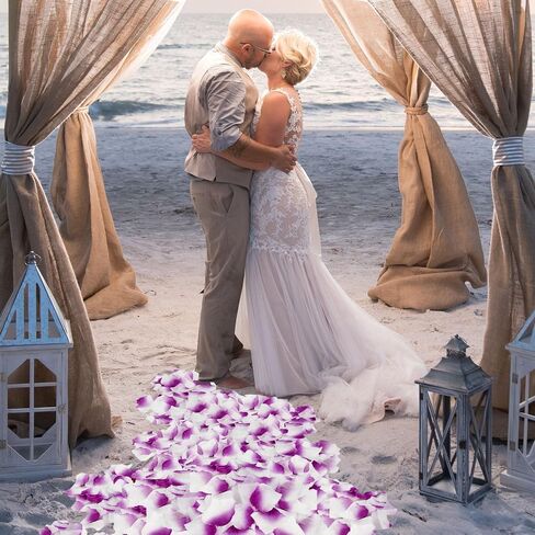 500 Pcs Rose Petals, Artificial Rose Flowers, Silk Rose Petals for Bedroom, Wedding, Confession, Engagement Decorations (500, White) in Saudi Arabia