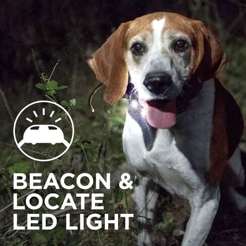 طوق Dogtra Pathfinder SE الإضافي بنظام تحديد المواقع LED بطول 9 أميال و21 كلبًا قابل للتوسيع مقاوم للماء وتتبع نظام تحديد المواقع العالمي (GPS) والتدريب، طوق إلكتروني LED مع معدل تحديث لمدة ثانيتين، بدون رسوم اشتراك، خريطة قمر صناعي مجانية in Kuwait