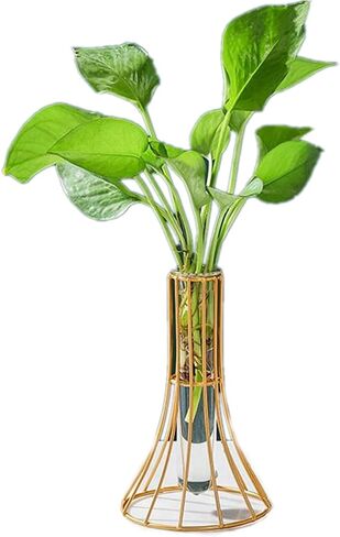 Nordic Simple Glass Clear Vase with Iron Art Frame for Hydroponic Planter, Metal Flower Vase Test Tube Pot Decorative Bottles Centerpieces for Wedding Home Décor (Black,Gourd) in Saudi Arabia