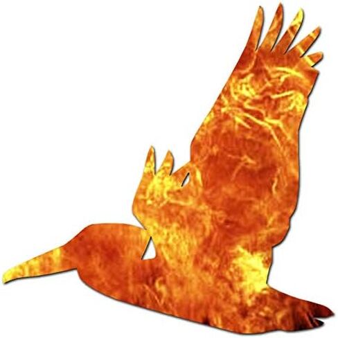 Flying Pelican Bird - Vinyl Decal Sticker - 3.75" x 3.75" - Black in Saudi Arabia