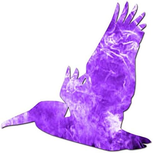 Flying Pelican Bird - Vinyl Decal Sticker - 3.75" x 3.75" - Black in Saudi Arabia