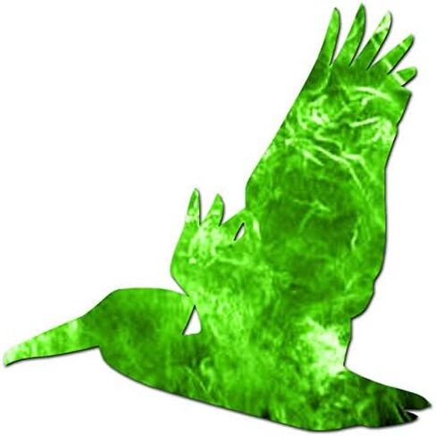 Flying Pelican Bird - Vinyl Decal Sticker - 3.75" x 3.75" - Black in Saudi Arabia