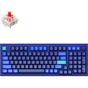 Keychron Q5 Wired Custom Mechanical Keyboard Knob Version, 96% Layout QMK/VIA Programmable Macro with Hot-swappable Gateron G Pro Red Switch Double Gasket Compatible with Mac Windows Linux (Blue)