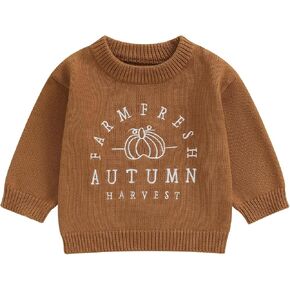 Little Kids Halloween Sweater Pumpkin/Ghost Embroidery Sweater Chunky Long Sleeve Pullover Sweater Warm Knit Top