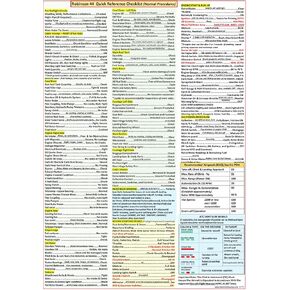Robinson 44 Helicopter Quick Reference Checklist