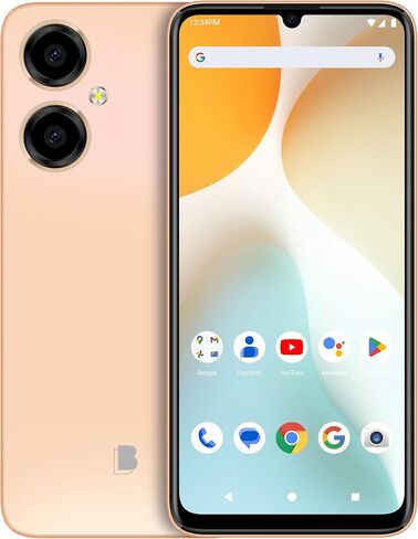 BLU G64 | 2024 | 3-Day Battery | Unlocked | 6.8" HD+ Infinity Display | 256GB | Dual 5MO Camera | US Warranty| Green in Saudi Arabia
