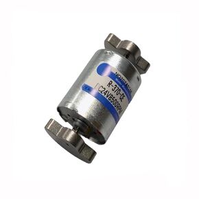 R555 Brushed Vibration Motor DC 12V-24V 8000RPM Dual Head High Torque Electrodynamic Vibration Motor with 2 Ferrous Sector Rotating Mass Blocks(Motor R555)