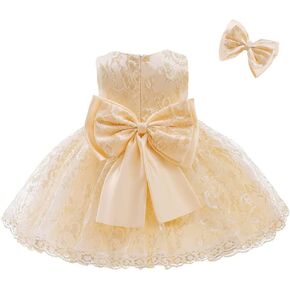 Baby Bowknot Embroidery Lace Tulle Dress Little Girls Birthday Pageant Wedding Xmas Party Tutu Gown w/Hair Clip