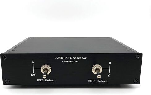 Two Amplifiers to Two Pairs of Speakers Selector Switch (2 to 2) Manual Switcher 2 in 2 Out Metal Enclosure (AS 0202) in Saudi Arabia