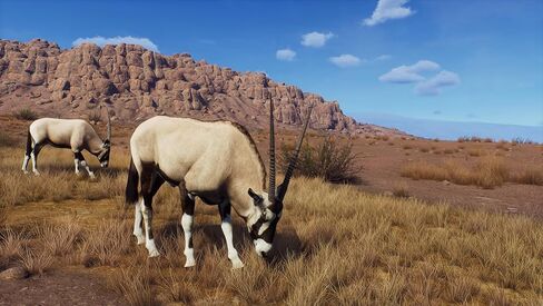 Way of the Hunter - Hunting Season One - PlayStation 5 in Saudi Arabia