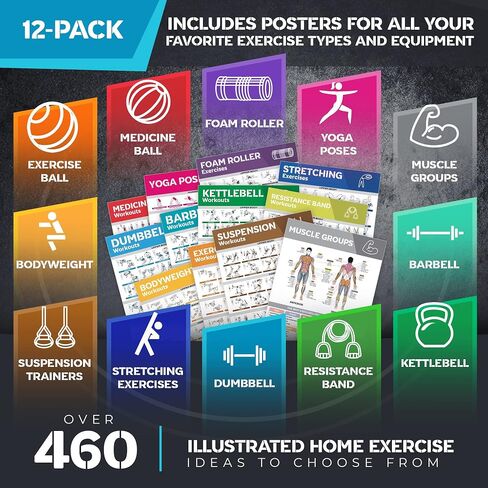 [21-PACK] مجموعة ملصقات تمرين كبيرة مغلفة - ملصقات تمرين مثالية للصالة الرياضية المنزلية - مخططات التمرين متضمنة. الدمبل، وأوضاع اليوجا، وحزام المقاومة، وجرس كيتل، والتمدد والمزيد من ملصقات صالة الألعاب الرياضية للياقة البدنية in Saudi Arabia