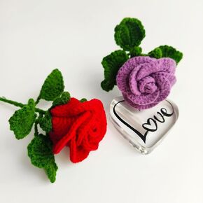 Weronique 2-Piece Myosotis Flower Crochet Kit for Beginner, Step-by-Step Crochet Tutorial Help to Easy Get Start, DIY Crochet Knitting Material Kit Gift for Sister, Mom and Friends (Purple)
