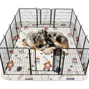 وسادات تبول الكلاب الكبيرة من سيوا ماري، عبوة واحدة مقاس 72 × 72 فائقة الامتصاص، وسادات تبول للكلاب غير قابلة للانزلاق وقابلة للغسل، وسادات للجراء سريعة الجفاف وقابلة لإعادة الاستخدام، بساط مقاوم للماء للكلاب - مستلزمات الحيوانات الأليفة، وتربية الجراء وت in Kuwait