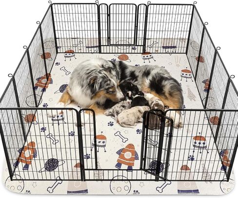 وسادات تبول الكلاب الكبيرة من سيوا ماري، عبوة واحدة مقاس 72 × 72 فائقة الامتصاص، وسادات تبول للكلاب غير قابلة للانزلاق وقابلة للغسل، وسادات للجراء سريعة الجفاف وقابلة لإعادة الاستخدام، بساط مقاوم للماء للكلاب - مستلزمات الحيوانات الأليفة، وتربية الجراء وت in Kuwait