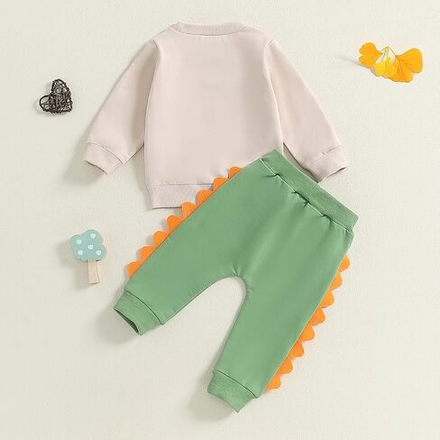 Big Brother Little Brother Matching Outfit Toddler Baby Boy Dinosaur Crewneck Shirts Sweatshirt Pullover Fall Clothes in Kuwait