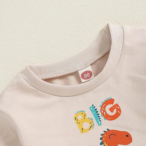 Big Brother Little Brother Matching Outfit Toddler Baby Boy Dinosaur Crewneck Shirts Sweatshirt Pullover Fall Clothes in Kuwait