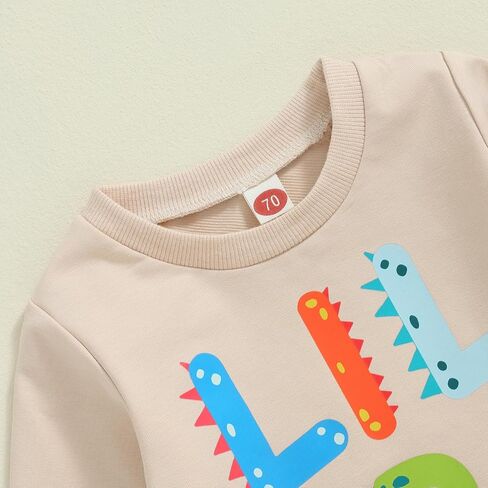 Big Brother Little Brother Matching Outfit Toddler Baby Boy Dinosaur Crewneck Shirts Sweatshirt Pullover Fall Clothes in Kuwait