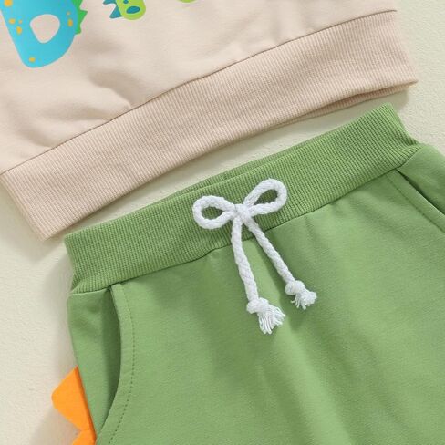 Big Brother Little Brother Matching Outfit Toddler Baby Boy Dinosaur Crewneck Shirts Sweatshirt Pullover Fall Clothes in Kuwait