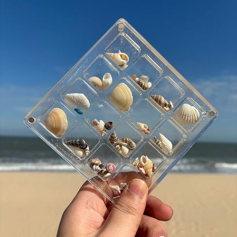 Acrylic Magnetic Seashell Display Box,Portable Display Box,36 Grids Diamond Gemstone Beads Storage Display Organizer Box,Clear Mini Seashell Storage Box (1, 36 Grids - Small) in Saudi Arabia