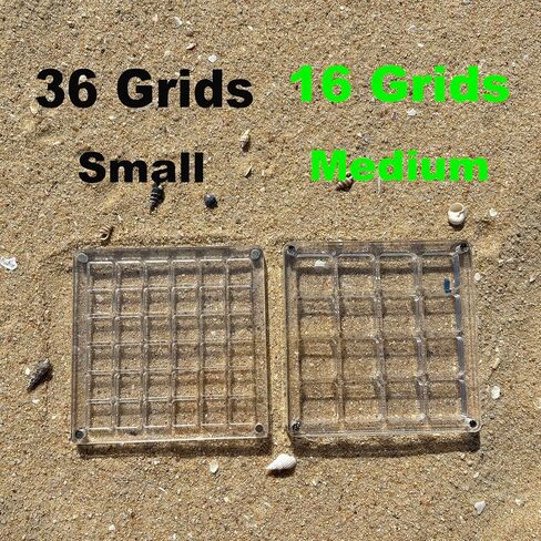 Acrylic Magnetic Seashell Display Box,Portable Display Box,36 Grids Diamond Gemstone Beads Storage Display Organizer Box,Clear Mini Seashell Storage Box (1, 36 Grids - Small) in Saudi Arabia