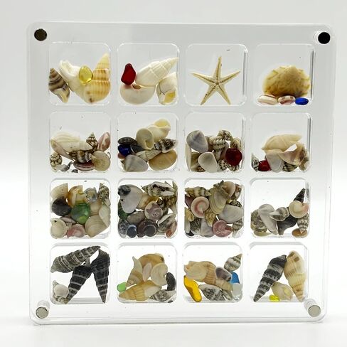 Acrylic Magnetic Seashell Display Box,Portable Display Box,36 Grids Diamond Gemstone Beads Storage Display Organizer Box,Clear Mini Seashell Storage Box (1, 36 Grids - Small) in Saudi Arabia