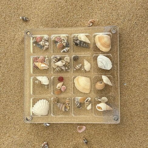 Acrylic Magnetic Seashell Display Box,Portable Display Box,36 Grids Diamond Gemstone Beads Storage Display Organizer Box,Clear Mini Seashell Storage Box (1, 36 Grids - Small) in Saudi Arabia