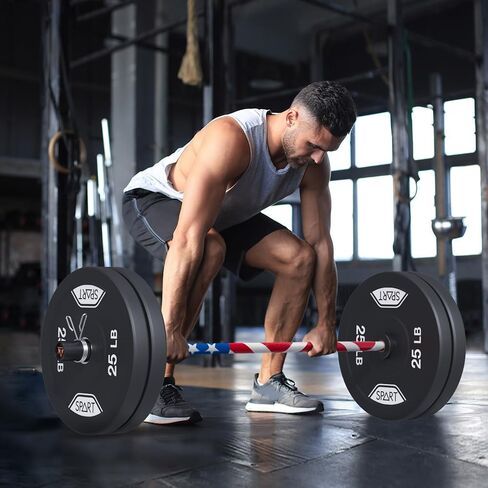 قضيب حديد أولمبي بطول 4 أقدام، شريط وزن مستقيم مقاس 47 بوصة مع ياقاتين، قضيب أولمبي صلب مع محامل، شريط رفع الأثقال بقدرة 500 رطل لتدريب القوة في صالة الألعاب الرياضية المنزلية، مناسب لألواح مقاس 2 بوصة in Kuwait