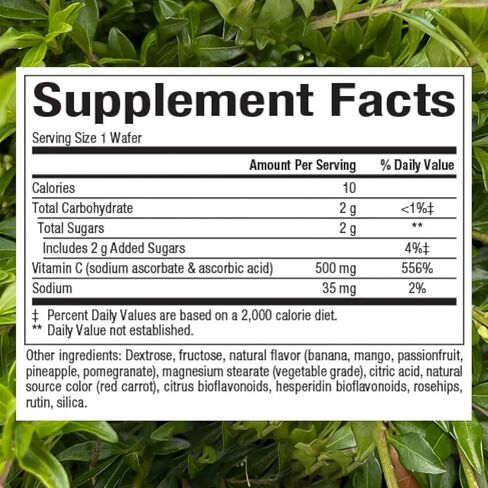 Natural Factors، فيتامين C قابل للمضغ للأطفال 500 ملغ، يدعم صحة المناعة والعظام والأسنان واللثة، الخوخ والباشن فروت والمانجو، 270 قطعة in Saudi Arabia